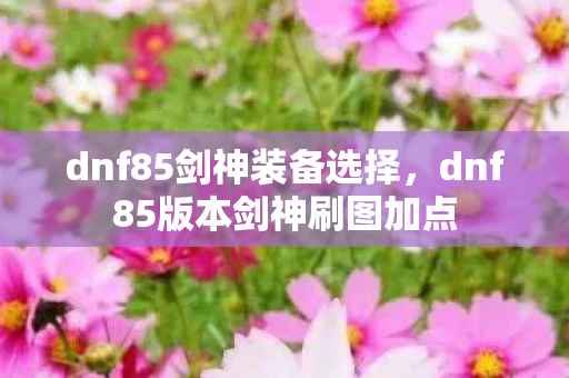 dnf85剑神装备选择,dnf85版本剑神刷图加点 dnf85剑神装备选择,dnf85版本剑神刷图加点