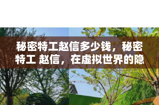 秘密特工赵信多少钱,秘密特工 赵信,在虚拟世界的隐秘行动 秘密特工赵信多少钱,秘密特工 赵信,在虚拟世界的隐秘行动