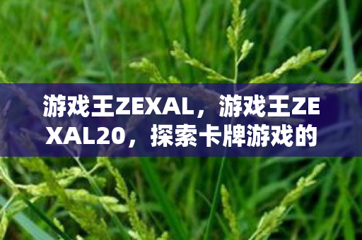 游戏王ZEXAL,游戏王ZEXAL20,探索卡牌游戏的深度与广度 游戏王ZEXAL,游戏王ZEXAL20,探索卡牌游戏的深度与广度
