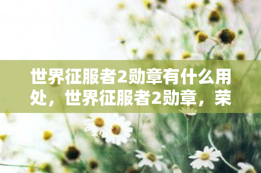 世界征服者2勋章有什么用处,世界征服者2勋章,荣耀与实力的象征 世界征服者2勋章有什么用处,世界征服者2勋章,荣耀与实力的象征
