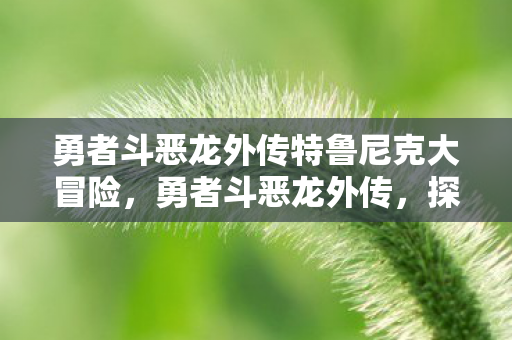 勇者斗恶龙外传特鲁尼克大冒险,勇者斗恶龙外传,探索未知世界的奇幻之旅 勇者斗恶龙外传特鲁尼克大冒险,勇者斗恶龙外传,探索未知世界的奇幻之旅