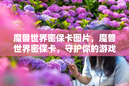 魔兽世界密保卡图片，魔兽世界密保卡，守护你的游戏世界