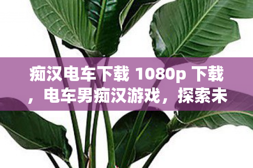 痴汉电车下载 1080p 下载，电车男痴汉游戏，探索未知世界的奇妙之旅