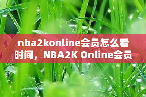 nba2konline会员怎么看时间,NBA2K Online会员,尊享特权与游戏乐趣的完美结合 nba2konline会员怎么看时间,NBA2K Online会员,尊享特权与游戏乐趣的完美结合