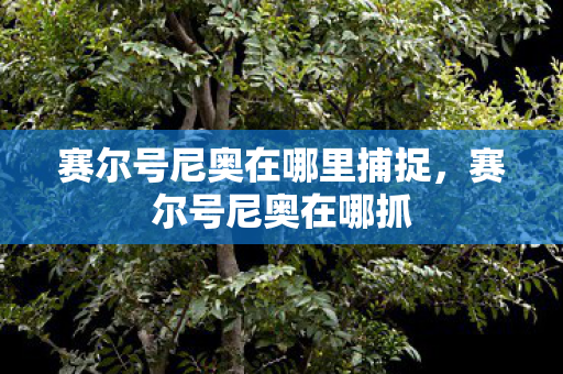 赛尔号尼奥在哪里捕捉,赛尔号尼奥在哪抓 赛尔号尼奥在哪里捕捉,赛尔号尼奥在哪抓