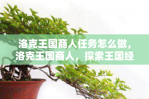 洛克王国商人任务怎么做，洛克王国商人，探索王国经济的繁荣与商机