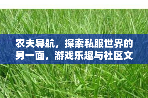 农夫导航,探索私服世界的另一面,游戏乐趣与社区文化的独特魅力 农夫导航,探索私服世界的另一面,游戏乐趣与社区文化的独特魅力