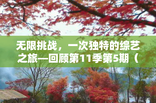 无限挑战,一次独特的综艺之旅—回顾第11季第5期(日期,XXXX年XX月XX日) 无限挑战,一次独特的综艺之旅—回顾第11季第5期(日期,XXXX年XX月XX日)