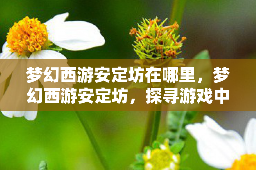 梦幻西游安定坊在哪里,梦幻西游安定坊,探寻游戏中的神秘之地 梦幻西游安定坊在哪里,梦幻西游安定坊,探寻游戏中的神秘之地