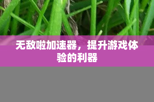 无敌啦加速器，提升游戏体验的利器