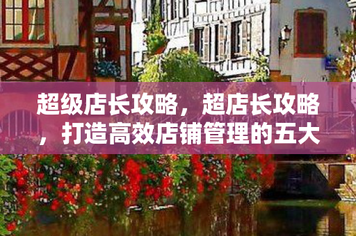 超级店长攻略,超店长攻略,打造高效店铺管理的五大策略 超级店长攻略,超店长攻略,打造高效店铺管理的五大策略