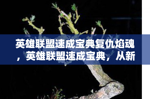 英雄联盟速成宝典复仇焰魂,英雄联盟速成宝典,从新手到高手的实战指南 英雄联盟速成宝典复仇焰魂,英雄联盟速成宝典,从新手到高手的实战指南