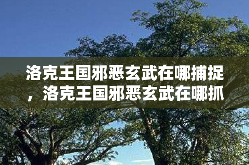 洛克王国邪恶玄武在哪捕捉,洛克王国邪恶玄武在哪抓 洛克王国邪恶玄武在哪捕捉,洛克王国邪恶玄武在哪抓