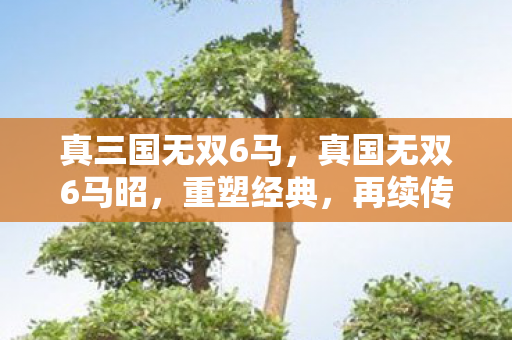 真三国无双6马，真国无双6马昭，重塑经典，再续传奇