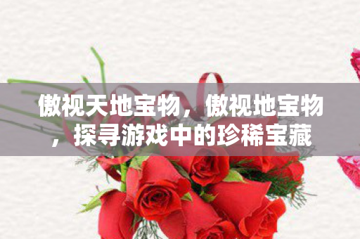 傲视天地宝物，傲视地宝物，探寻游戏中的珍稀宝藏