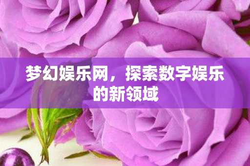 梦幻娱乐网，探索数字娱乐的新领域