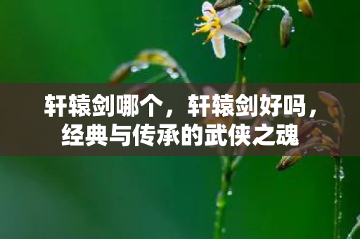 轩辕剑哪个,轩辕剑好吗,经典与传承的武侠之魂 轩辕剑哪个,轩辕剑好吗,经典与传承的武侠之魂