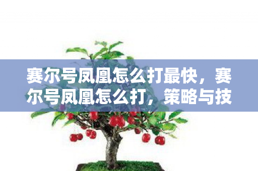 赛尔号凤凰怎么打最快,赛尔号凤凰怎么打,策略与技巧详解 赛尔号凤凰怎么打最快,赛尔号凤凰怎么打,策略与技巧详解
