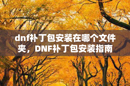 dnf补丁包安装在哪个文件夹,DNF补丁包安装指南 dnf补丁包安装在哪个文件夹,DNF补丁包安装指南