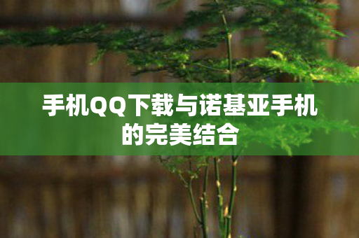手机QQ下载与诺基亚手机的完美结合