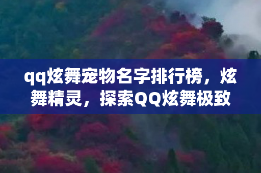 qq炫舞宠物名字排行榜，炫舞精灵，探索QQ炫舞极致宠物名字的魅力