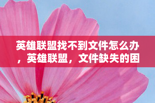 英雄联盟找不到文件怎么办,英雄联盟,文件缺失的困扰与解决之道 英雄联盟找不到文件怎么办,英雄联盟,文件缺失的困扰与解决之道