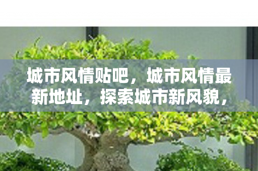 城市风情贴吧，城市风情最新地址，探索城市新风貌，感受别样风情