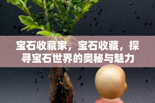 宝石收藏家,宝石收藏,探寻宝石世界的奥秘与魅力 宝石收藏家,宝石收藏,探寻宝石世界的奥秘与魅力