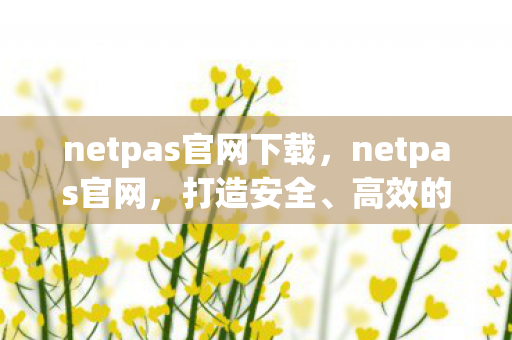 netpas官网下载，netpas官网，打造安全、高效的网络环境