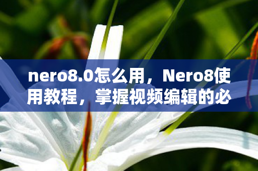 nero8.0怎么用,Nero8使用教程,掌握视频编辑的必备技能 nero8.0怎么用,Nero8使用教程,掌握视频编辑的必备技能