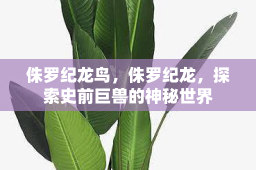 侏罗纪龙鸟,侏罗纪龙,探索史前巨兽的神秘世界 侏罗纪龙鸟,侏罗纪龙,探索史前巨兽的神秘世界