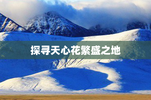 探寻天心花繁盛之地 探寻天心花繁盛之地