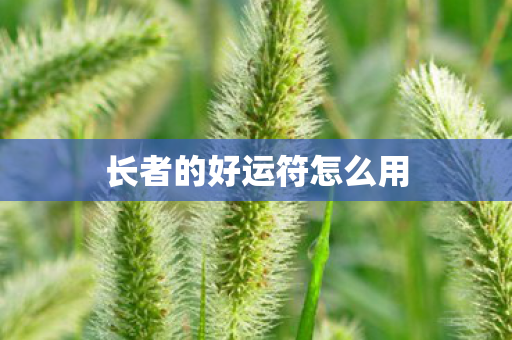 长者的好运符怎么用