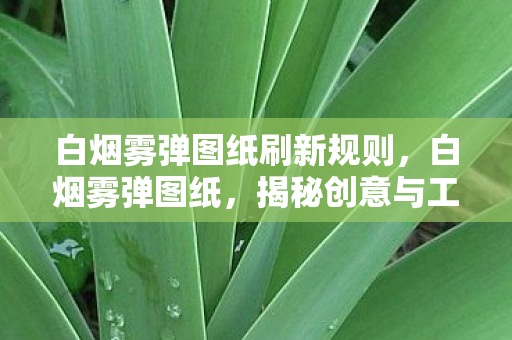 白烟雾弹图纸刷新规则,白烟雾弹图纸,揭秘创意与工艺的完美结合 白烟雾弹图纸刷新规则,白烟雾弹图纸,揭秘创意与工艺的完美结合