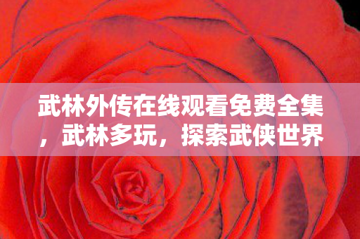 武林外传在线观看免费全集,武林多玩,探索武侠世界的多元玩法 武林外传在线观看免费全集,武林多玩,探索武侠世界的多元玩法