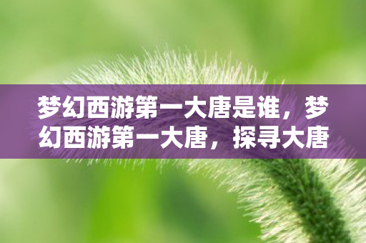梦幻西游第一大唐是谁，梦幻西游第一大唐，探寻大唐盛世的辉煌与传奇