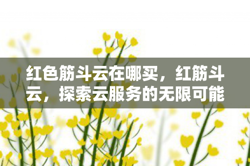 红色筋斗云在哪买,红筋斗云,探索云服务的无限可能 红色筋斗云在哪买,红筋斗云,探索云服务的无限可能