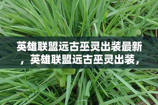英雄联盟远古巫灵出装最新,英雄联盟远古巫灵出装,掌控法术的极致策略 英雄联盟远古巫灵出装最新,英雄联盟远古巫灵出装,掌控法术的极致策略