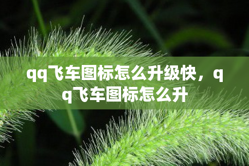 qq飞车图标怎么升级快，qq飞车图标怎么升