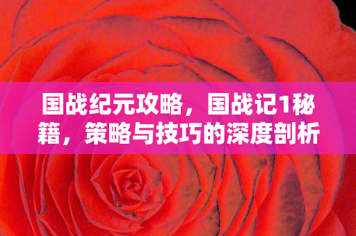 国战纪元攻略,国战记1秘籍,策略与技巧的深度剖析 国战纪元攻略,国战记1秘籍,策略与技巧的深度剖析