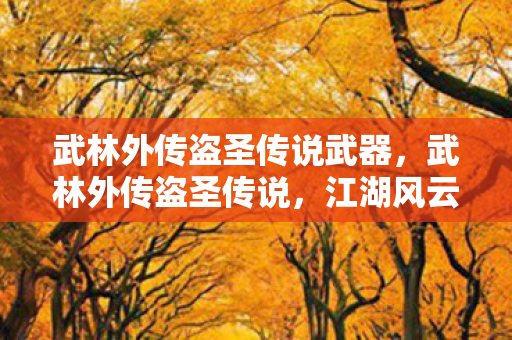 武林外传盗圣传说武器，武林外传盗圣传说，江湖风云中的传奇人物