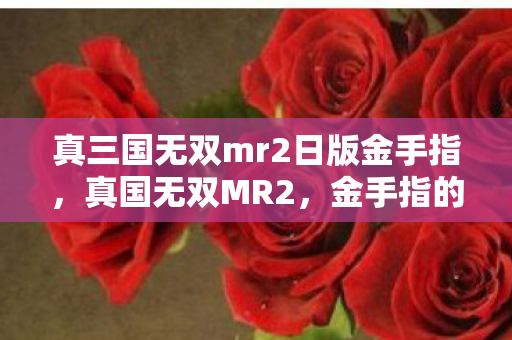 真三国无双mr2日版金手指，真国无双MR2，金手指的奥秘与实战应用