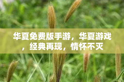华夏免费版手游，华夏游戏，经典再现，情怀不灭