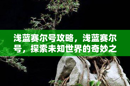 浅蓝赛尔号攻略,浅蓝赛尔号,探索未知世界的奇妙之旅 浅蓝赛尔号攻略,浅蓝赛尔号,探索未知世界的奇妙之旅
