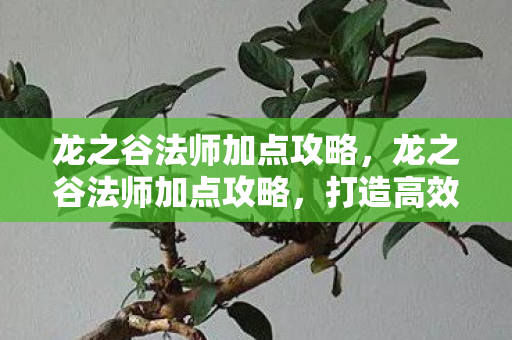 龙之谷法师加点攻略,龙之谷法师加点攻略,打造高效战斗法师 龙之谷法师加点攻略,龙之谷法师加点攻略,打造高效战斗法师