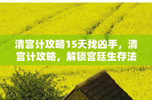 清宫计攻略15天找凶手,清宫计攻略,解锁宫廷生存法则 清宫计攻略15天找凶手,清宫计攻略,解锁宫廷生存法则