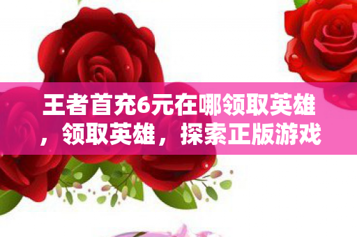 王者首充6元在哪领取英雄，领取英雄，探索正版游戏的魅力与无限可能