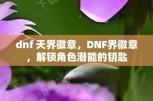 dnf 天界徽章，DNF界徽章，解锁角色潜能的钥匙