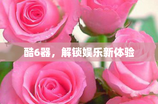 酷6器,解锁娱乐新体验 酷6器,解锁娱乐新体验