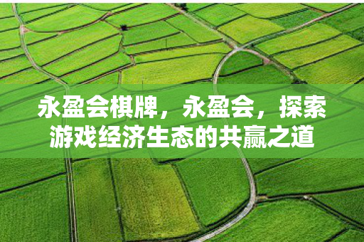 永盈会棋牌,永盈会,探索游戏经济生态的共赢之道 永盈会棋牌,永盈会,探索游戏经济生态的共赢之道